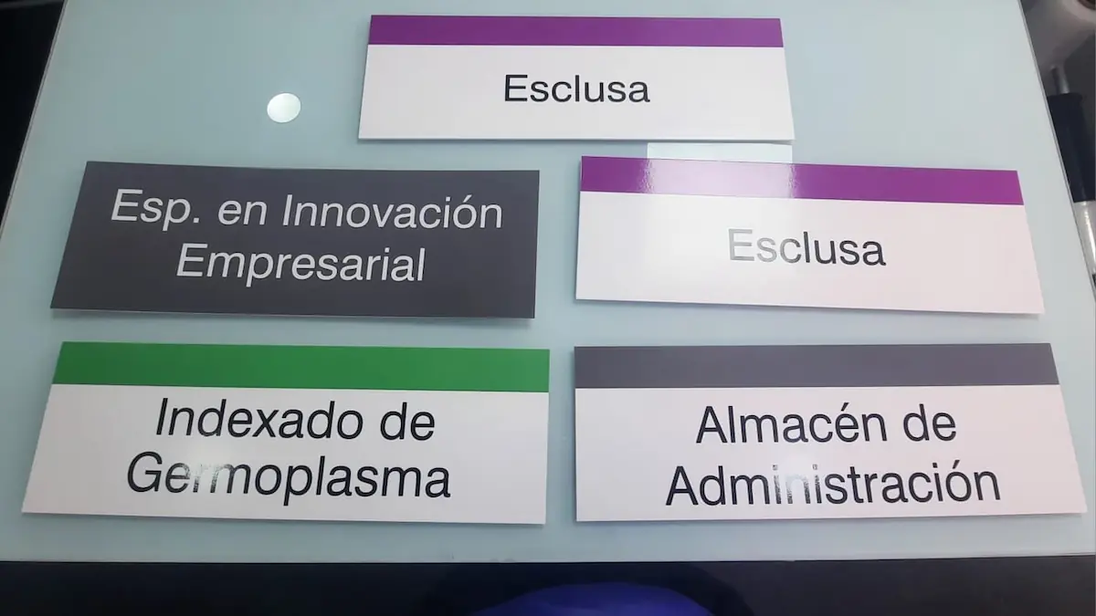 Proyecto de señalización 12